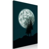Πίνακας ζε καμβά - Beautiful Full Moon (1 Part) Vertical