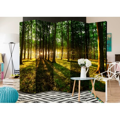 Διαχωριστικό δωματίου - Morning in the Forest II