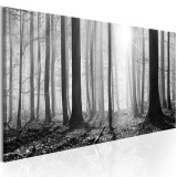 Πίνακας ζε καμβά - Black and White Forest