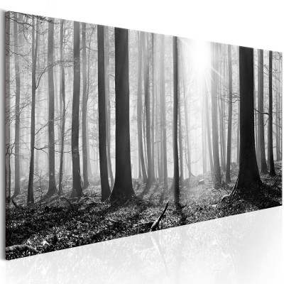 Πίνακας ζε καμβά - Black and White Forest