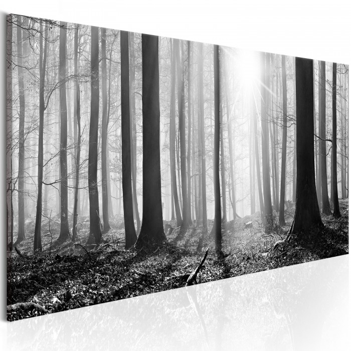 Πίνακας ζε καμβά - Black and White Forest