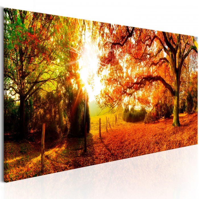 Πίνακας ζε καμβά - Magic of Autumn