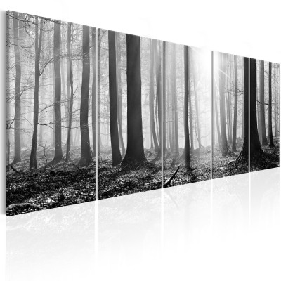 Πίνακας ζε καμβά - Monochrome Forest