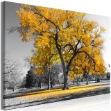 Πίνακας ζε καμβά - Autumn in the Park (1 Part) Wide Gold