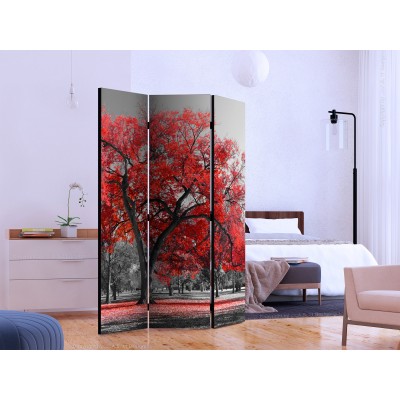 Διαχωριστικό δωματίου - Autumn in the Park