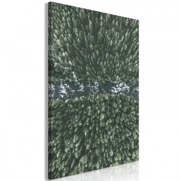 Πίνακας ζε καμβά - Forest River (1 Part) Vertical