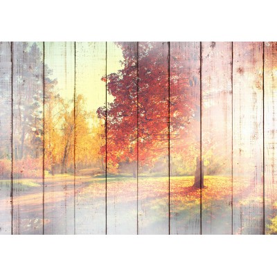 Φωτοταπετσαρία - Autumn Sun
