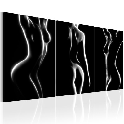 Πίνακας ζε καμβά - Night of Senses