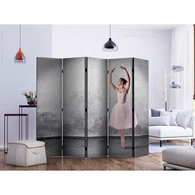 Διαχωριστικό δωματίου - Ballerina in Degas paintings style II