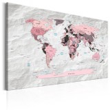 Πίνακας ζε καμβά - World Map: Pink Continents