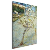 Πίνακας ζε καμβά - Blossoming Pear Tree