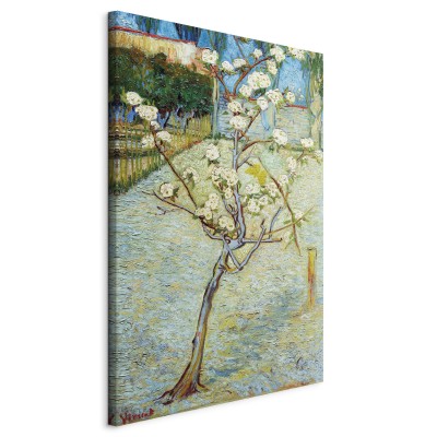 Πίνακας ζε καμβά - Blossoming Pear Tree
