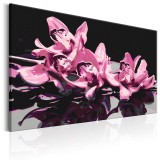 Πίνακας αυτοζωγραφικής - Pink Orchid (Black Background)