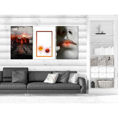 Πίνακας ζε καμβά - Passion (3 Parts)