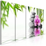 Πίνακας ζε καμβά - Water Garden (5 Parts) Narrow