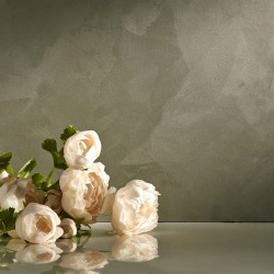 Novacorol Animamundi