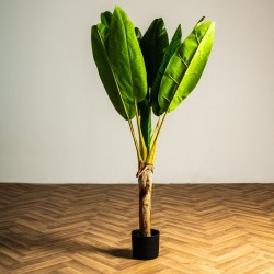 Τεχνητά Φυτά