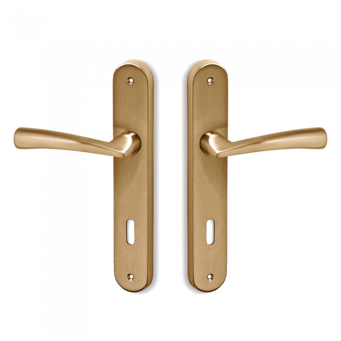 Πόμολα πόρτας χειρολαβή με πλάκα C1405 σε Ματ Όρο