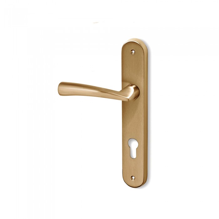 Πόμολα πόρτας χειρολαβή με πλάκα C1405 σε Ματ Όρο