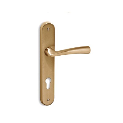 Πόμολα πόρτας χειρολαβή με πλάκα C1405 σε Ματ Όρο