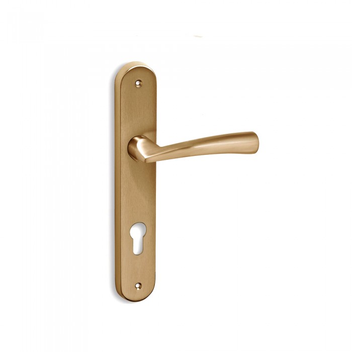 Πόμολα πόρτας χειρολαβή με πλάκα C1405 σε Ματ Όρο