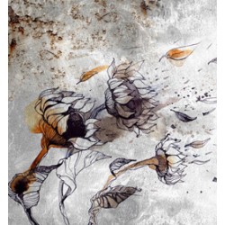 Ηλιοτρόπια