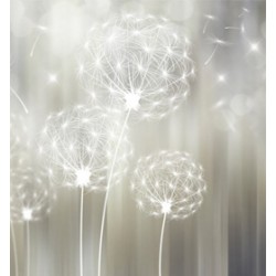 Πικραλίδες