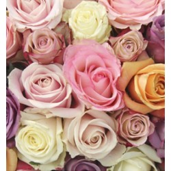 Τριαντάφυλλα