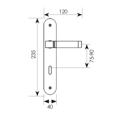 Πόμολο πόρτας χειρολαβή με πλάκα 161 Νίκελ ματ / Χρώμιο