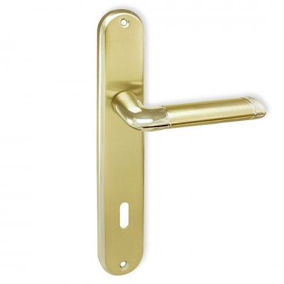 Πόμολο Πόρτας με Πλάκα (1τεμάχιο) – Perfect 221 – Ματ Όρο / Όρο