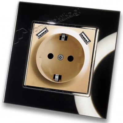 Πρίζα Σούκο Χωνευτή Τοίχου με 2 Θύρες USB 5.1VDC/2.1A σε Χρυσό Ματ Χρώμα και Πλαίσιο Μαύρο Γυαλί HSERIES LINEME 50-00133-9_50-00121-26