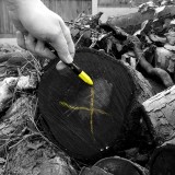 Crayon Παστέλ Σήμανσης Kίτρινο TRACER ACM3