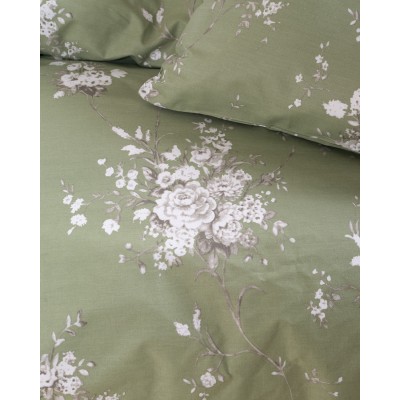 LINIE ΠΡΑΣΙΝΟ - ΖΕΥΓΟΣ ΜΑΞΙΛΑΡΟΘΗΚΕΣ