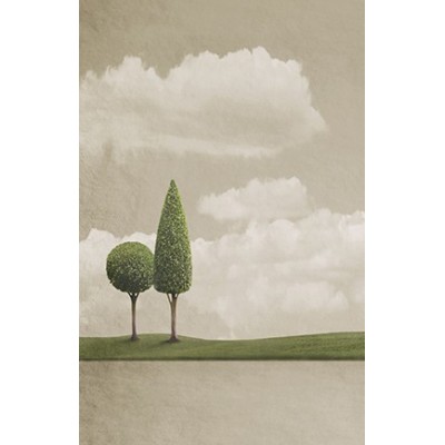 Ρόλερ - Roller Μερικής Συσκότισης ψηφιακής εκτύπωσης ART 69-SR